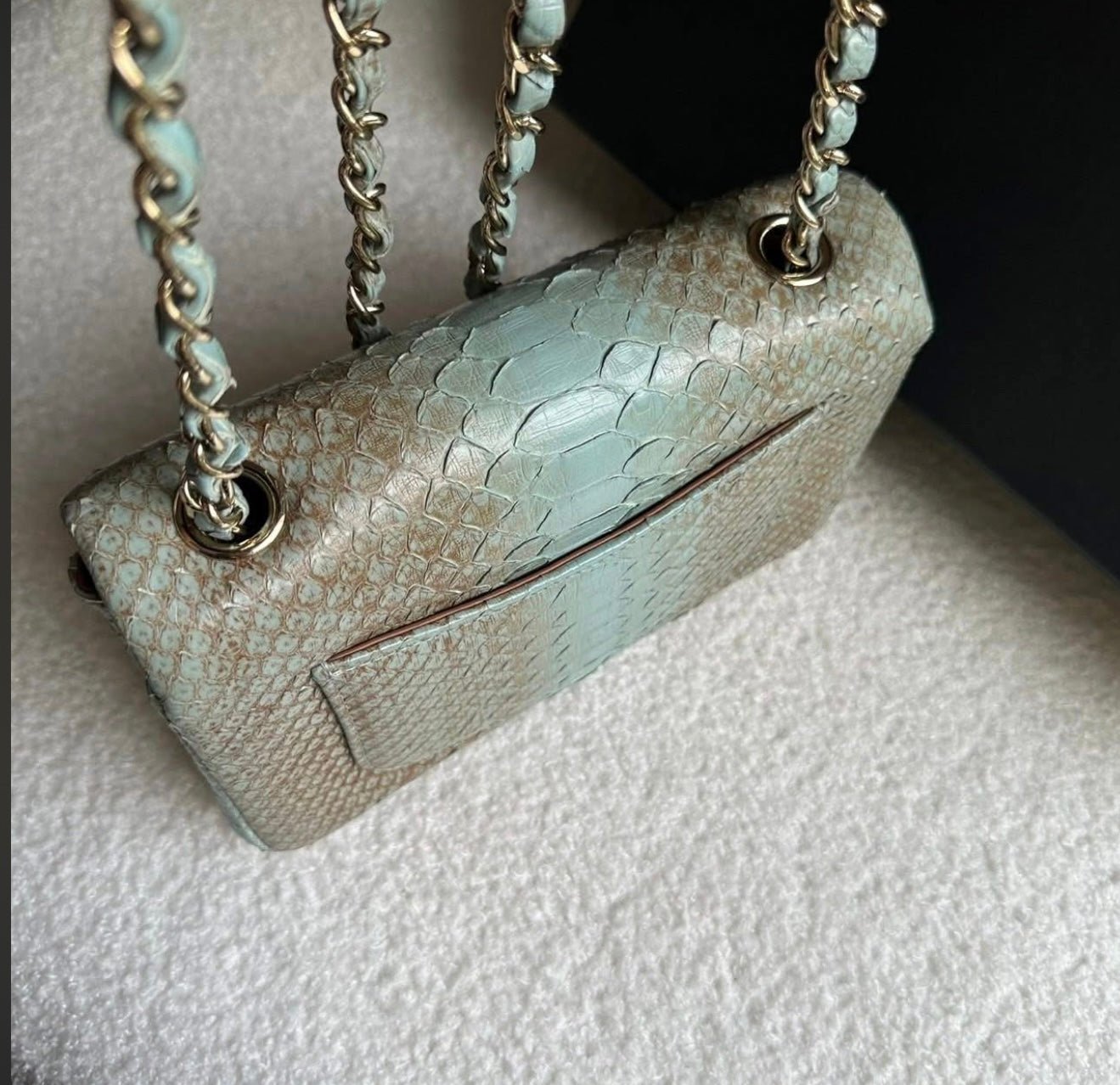 CHANEL Ombré Lizard Mini Flap - Carly Julia Sells Stuff, LLC