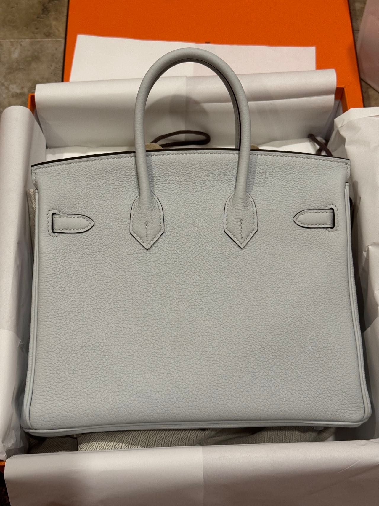 Hermes 2024 Birkin 25 Gris Platine PHW - Carly Julia Sells Stuff, LLC