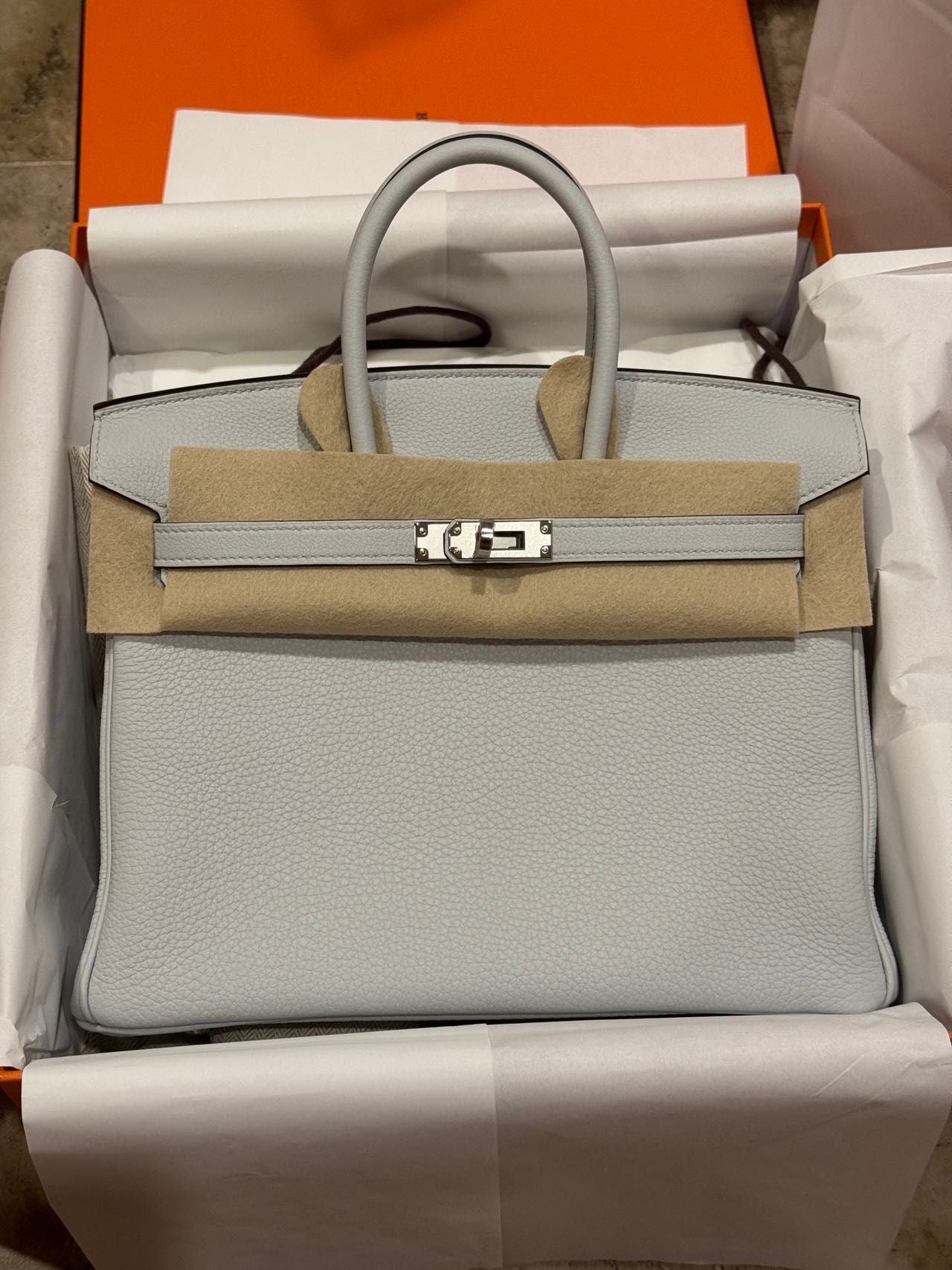 Hermes 2024 Birkin 25 Gris Platine PHW - Carly Julia Sells Stuff, LLC