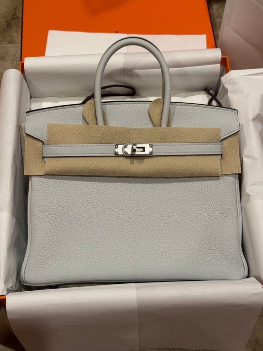 Hermes 2024 Birkin 25 Gris Platine PHW - Carly Julia Sells Stuff, LLC