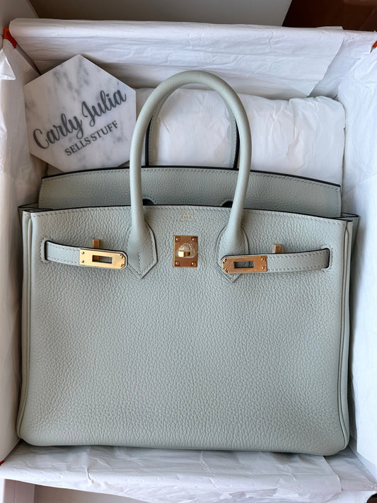 Hermes Birkin 25 2023 Togo Gris Neve GHW - Carly Julia Sells Stuff, LLC