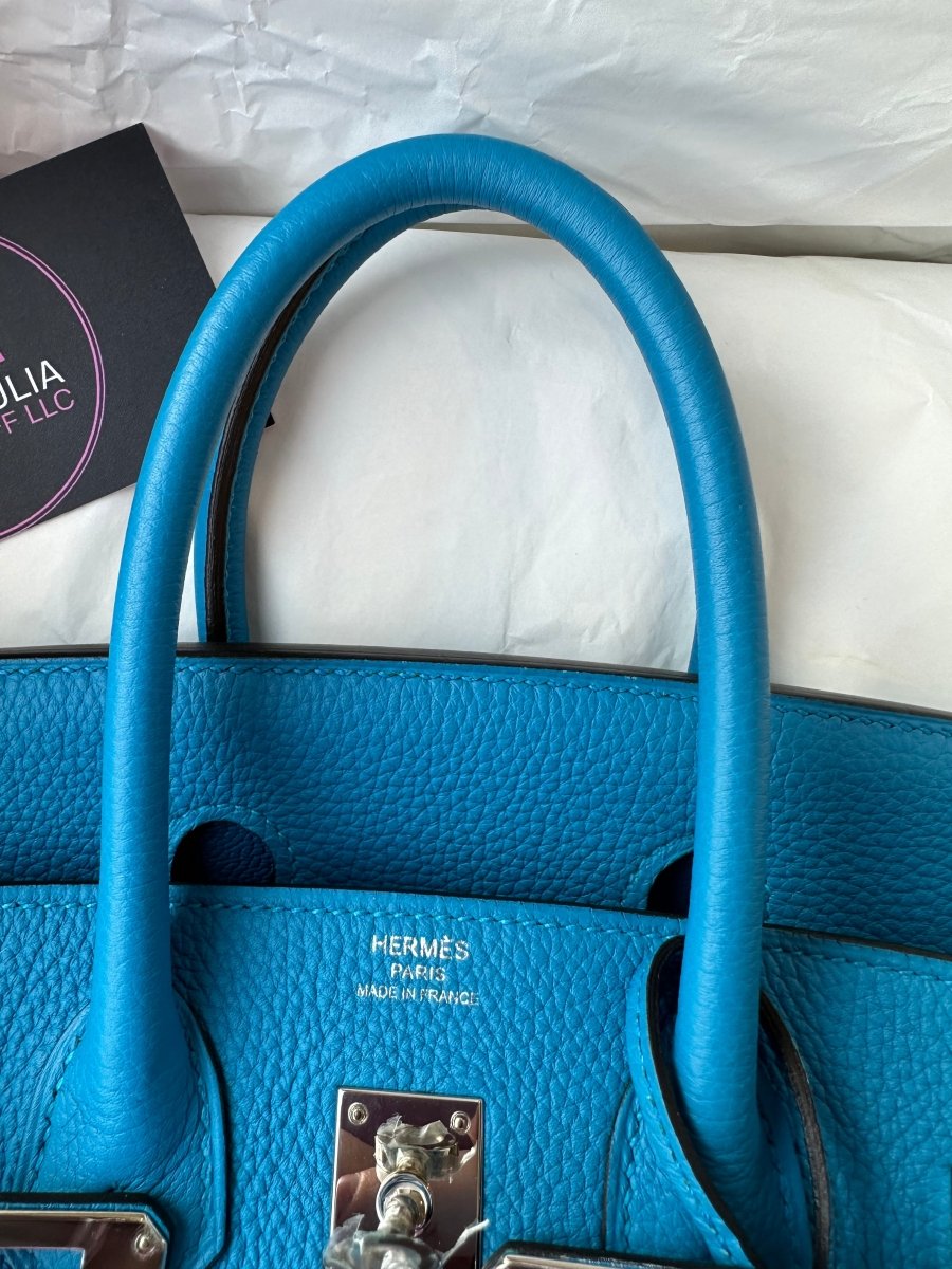 Hermes Birkin 25 Blue Zanzibar PHW - Carly Julia Sells Stuff, LLC