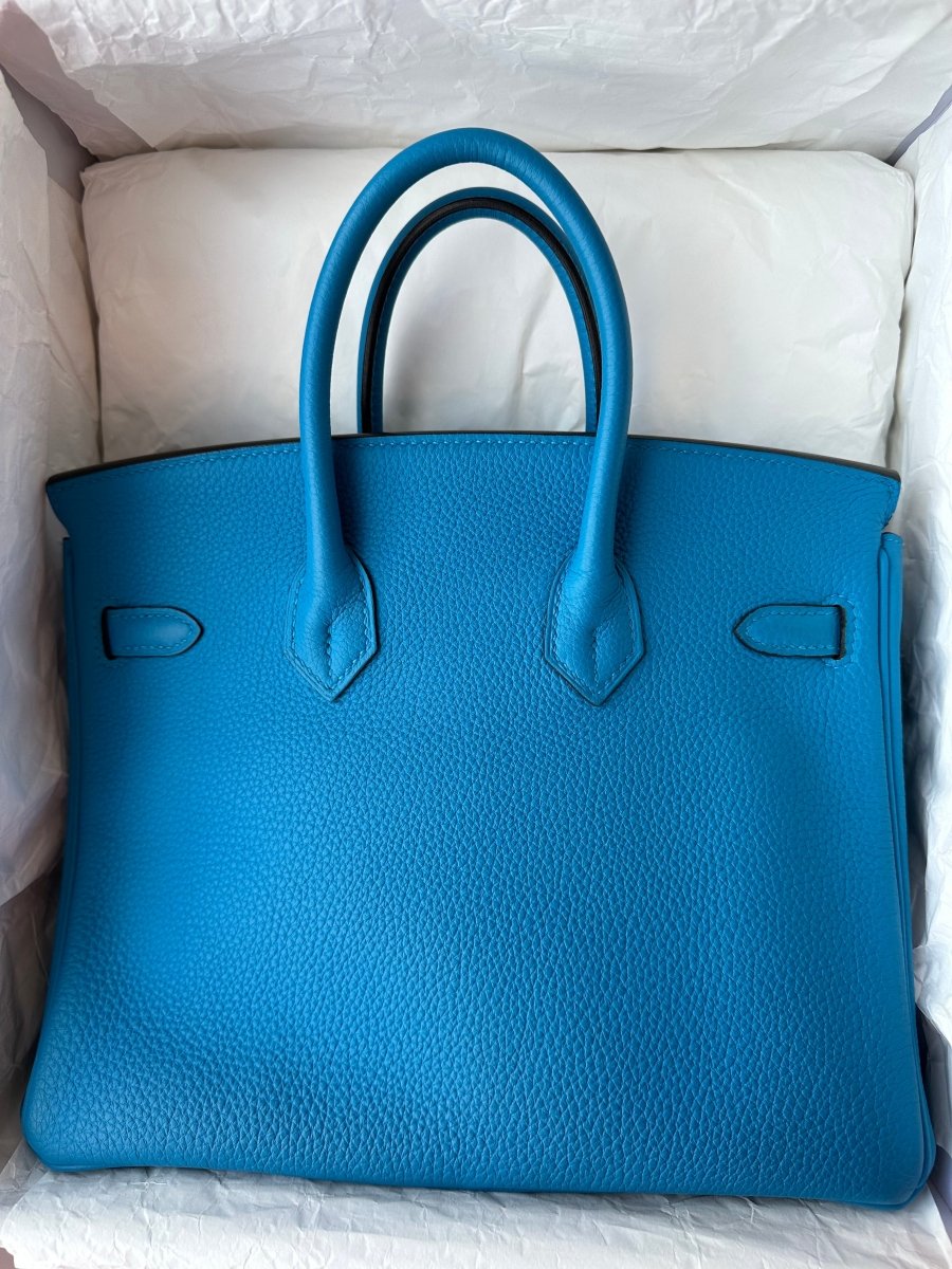 Hermes Birkin 25 Blue Zanzibar PHW - Carly Julia Sells Stuff, LLC