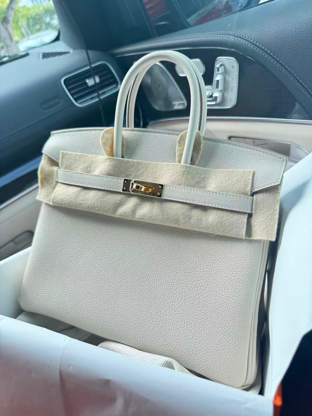 Hermes Birkin 25 Craie Togo GHW - Carly Julia Sells Stuff, LLC