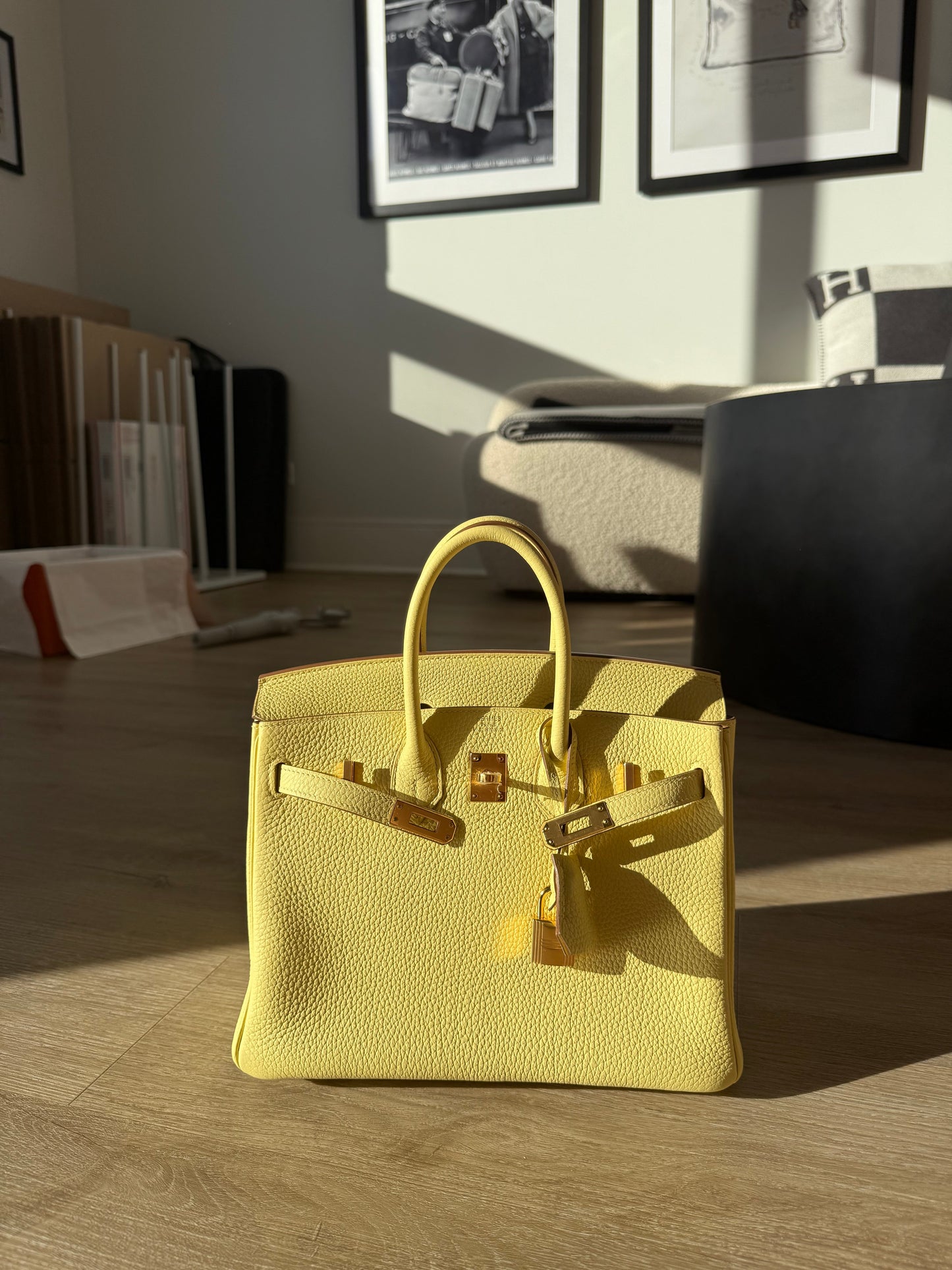 Hermes Birkin 25 Jaune Poussin Togo GHW - Carly Julia Sells Stuff, LLC