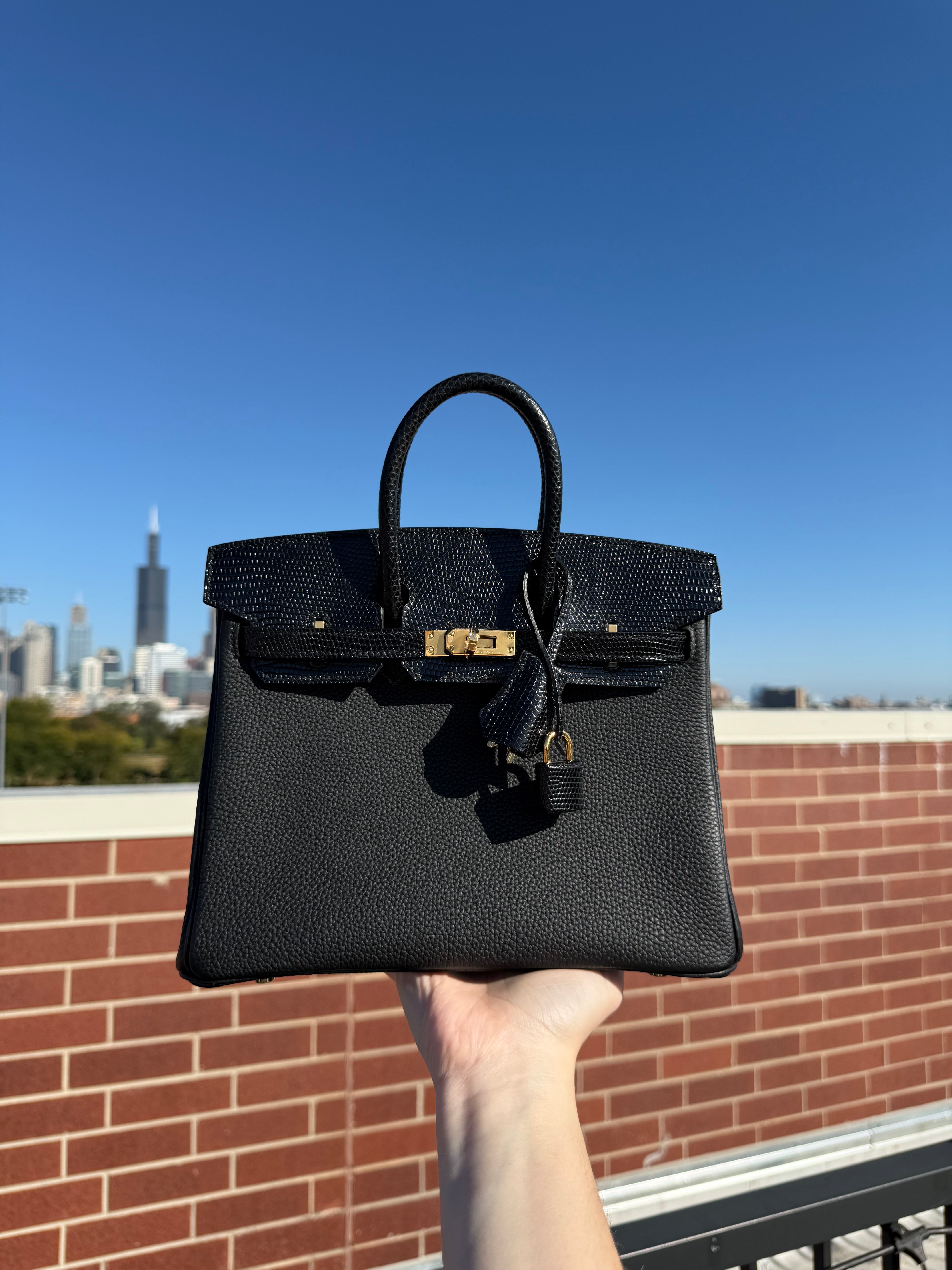 Hermes Birkin 25 Lizard Touch Noir GHW – Carly Julia Sells Stuff, LLC