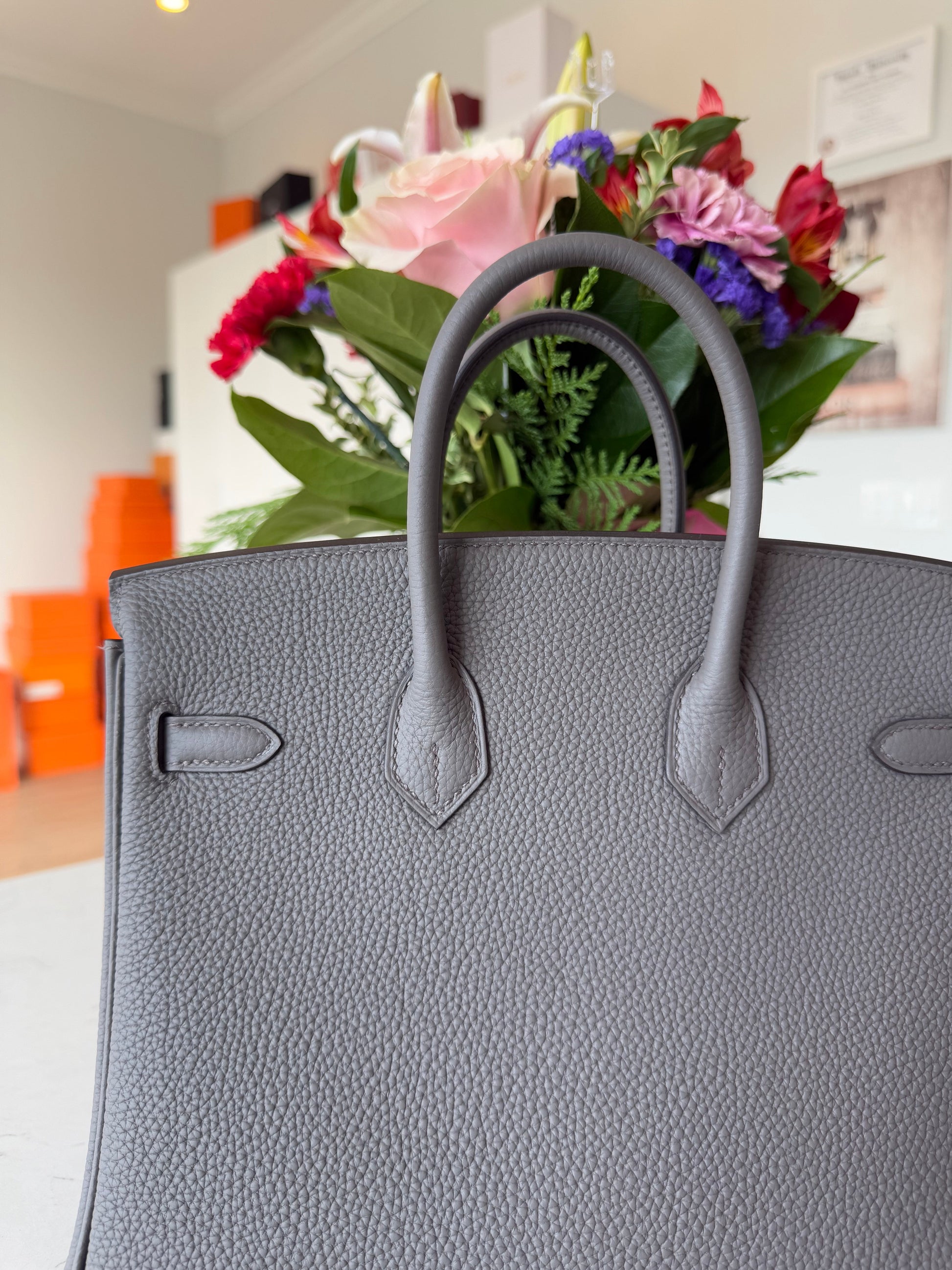 Hermes Birkin 25 Togo Etain - Carly Julia Sells Stuff, LLC