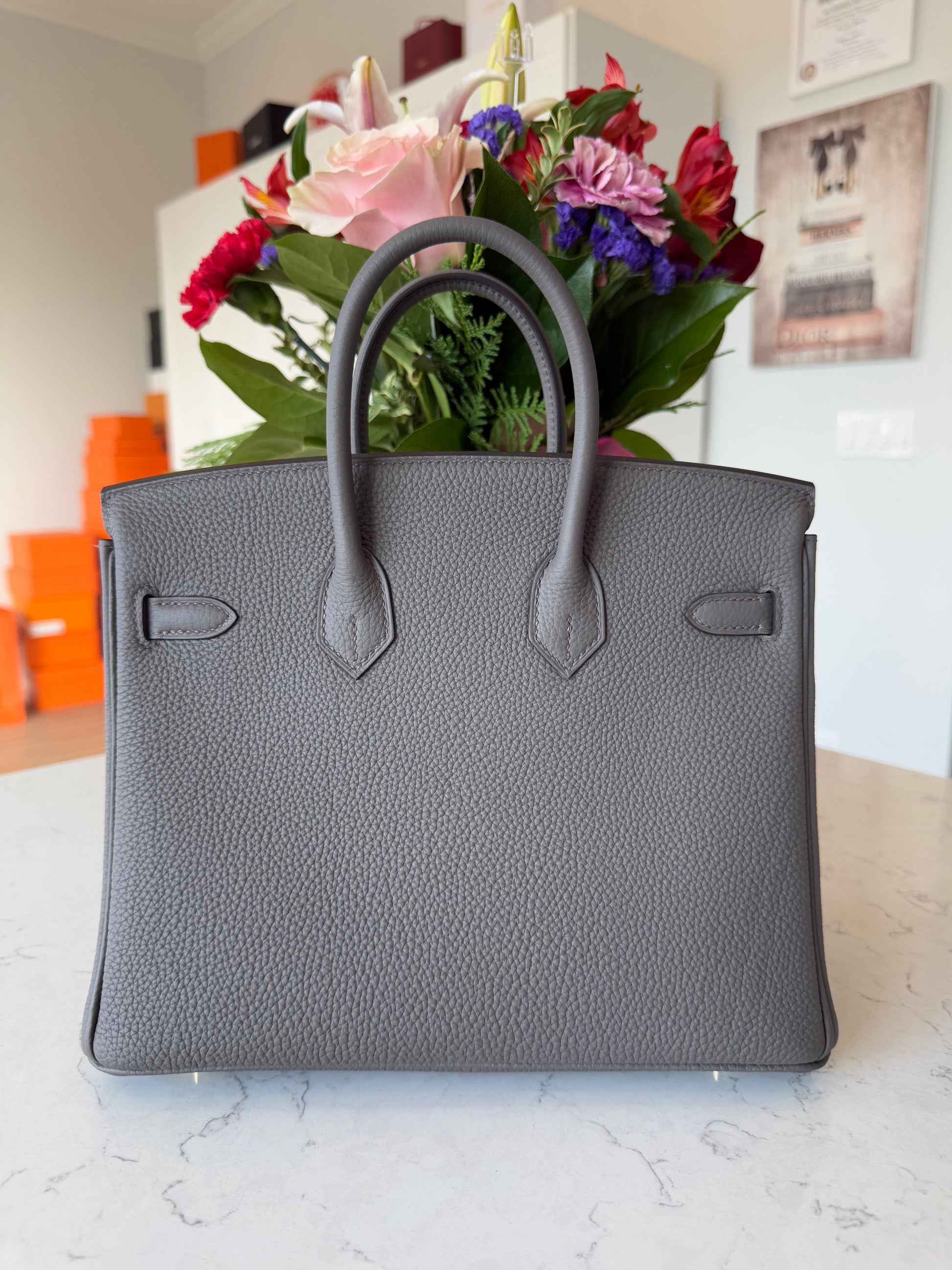 Hermes Birkin 25 Togo Etain - Carly Julia Sells Stuff, LLC