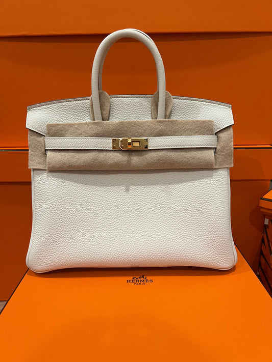 Hermes Birkin 25 Togo Mushroom GHW - Carly Julia Sells Stuff, LLC