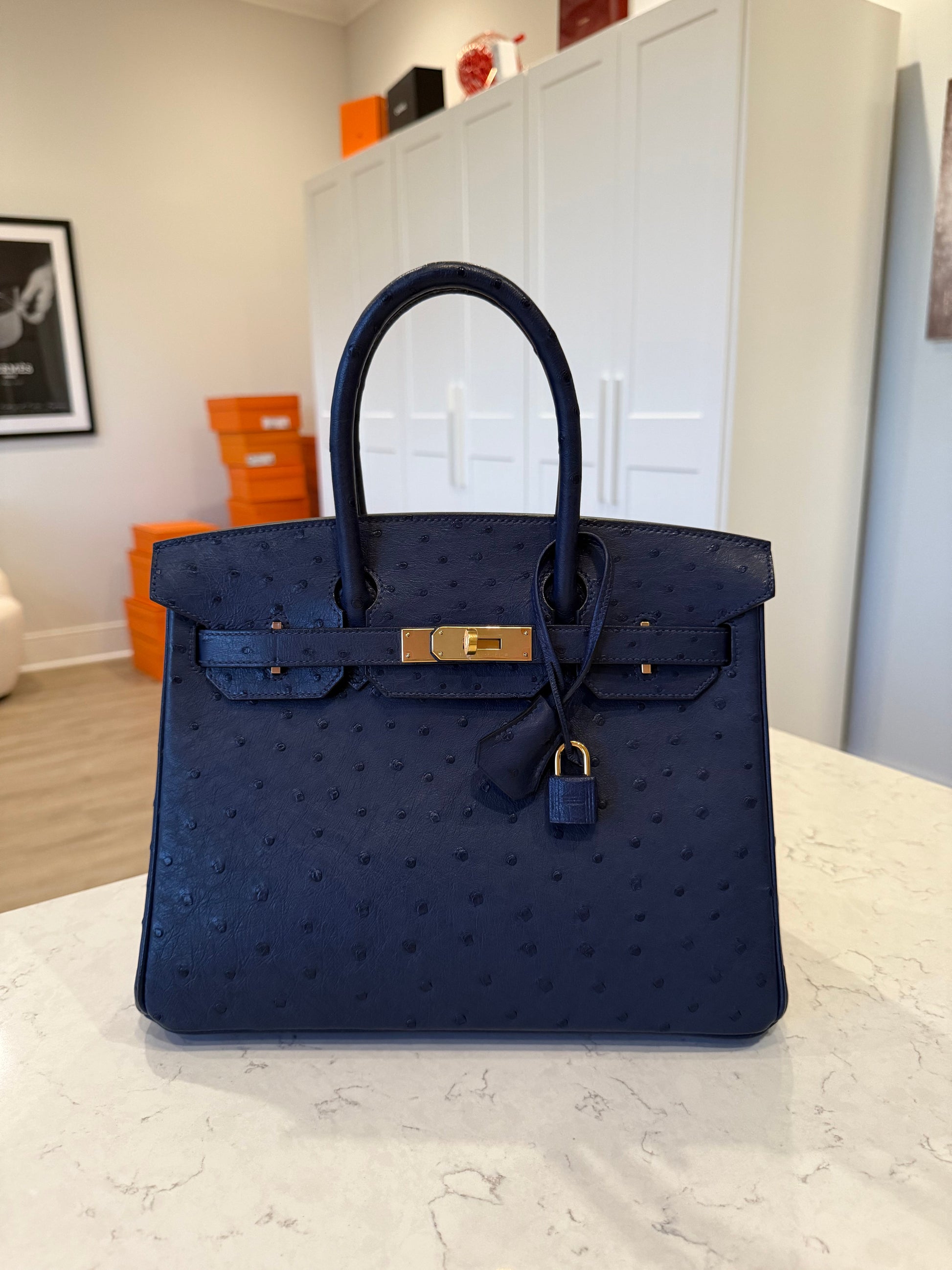 Hermes Birkin 30 Ostrich Blue Iris GHW - Carly Julia Sells Stuff, LLC