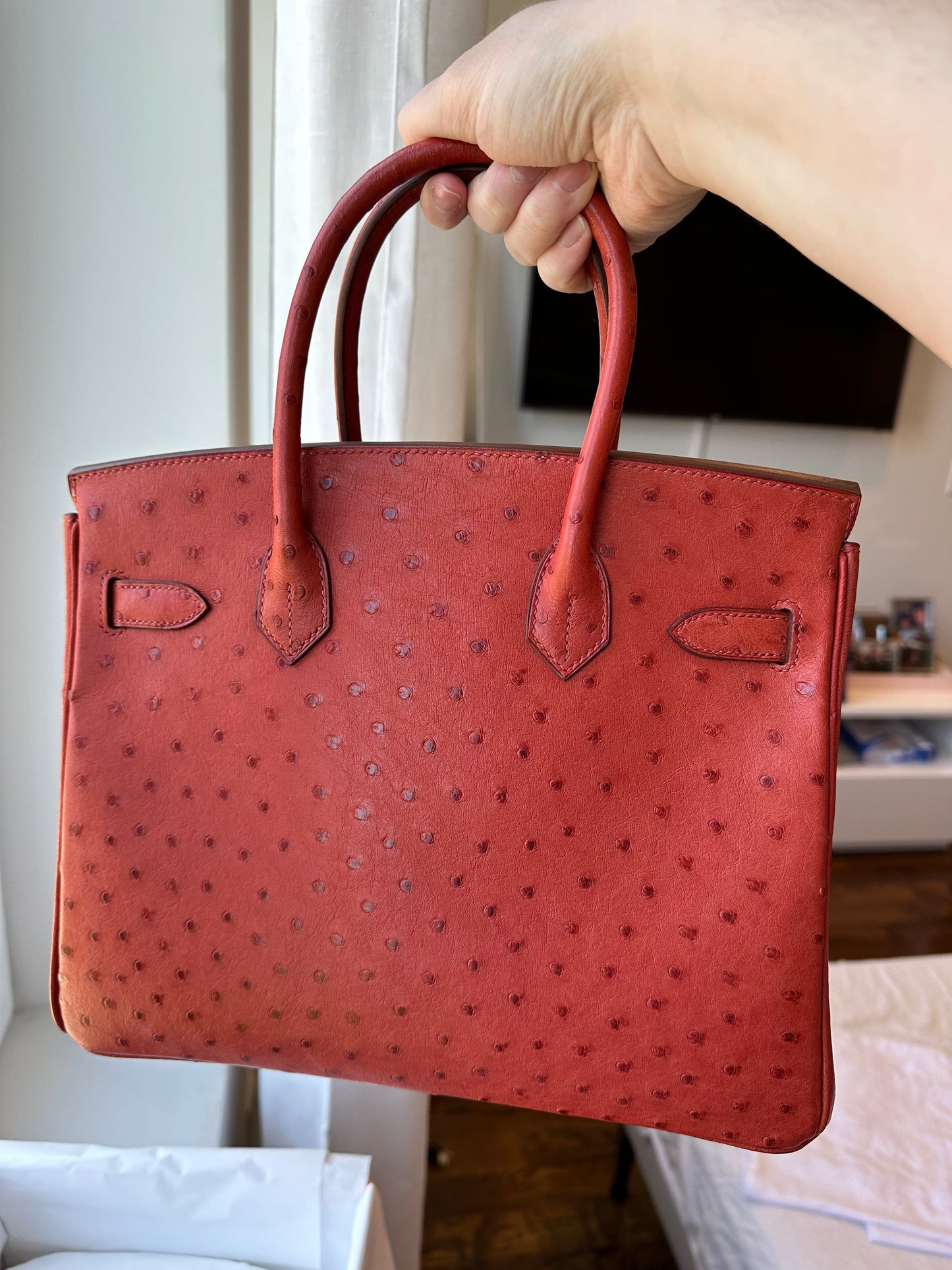 Hermes Birkin 30 Ostrich Brique GHW - Carly Julia Sells Stuff, LLC