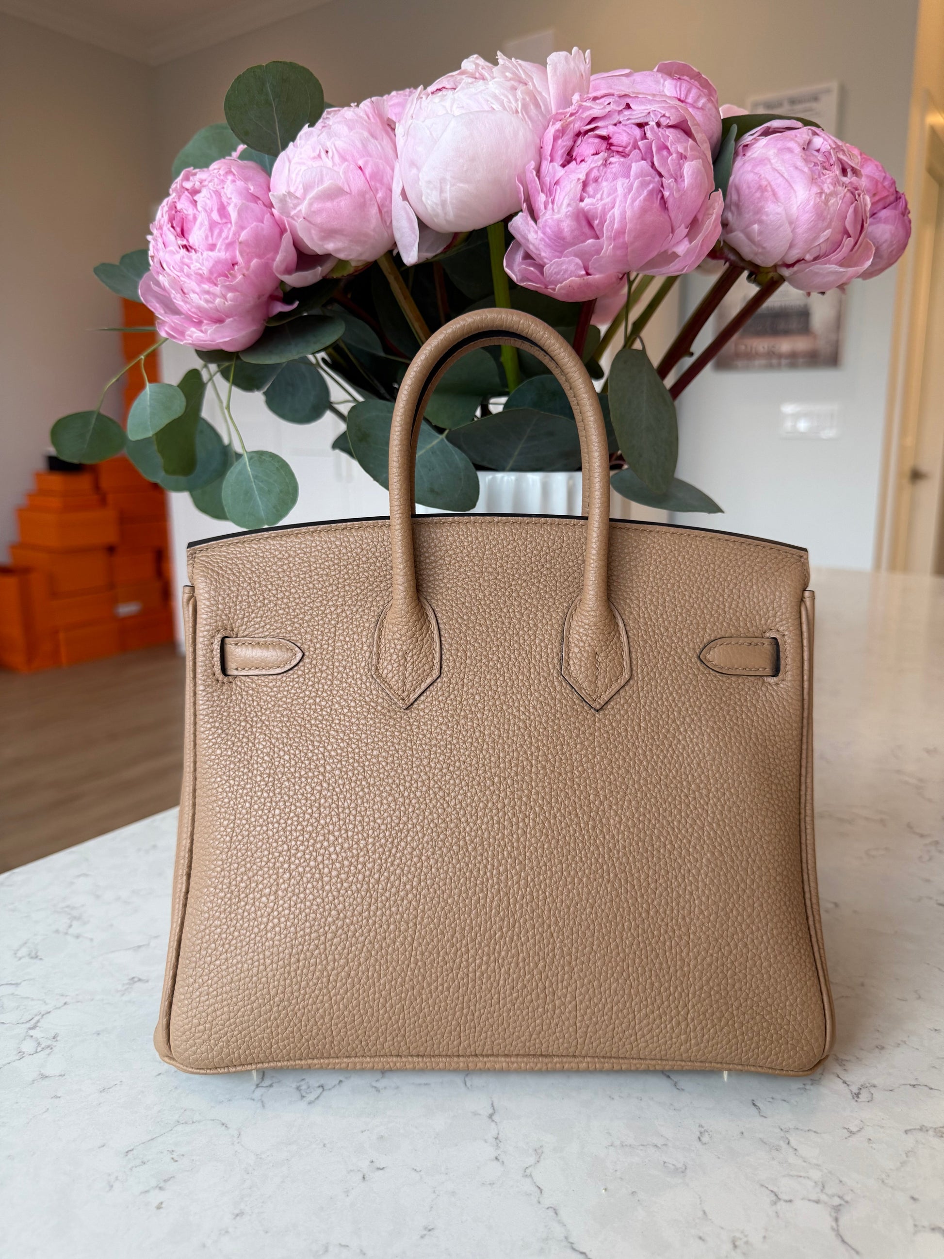 Hermes Chai Birkin 25 GHW - Carly Julia Sells Stuff, LLC