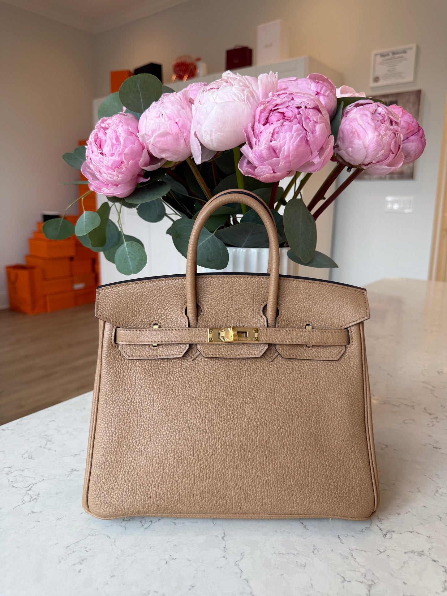 Hermes Chai Birkin 25 GHW - Carly Julia Sells Stuff, LLC