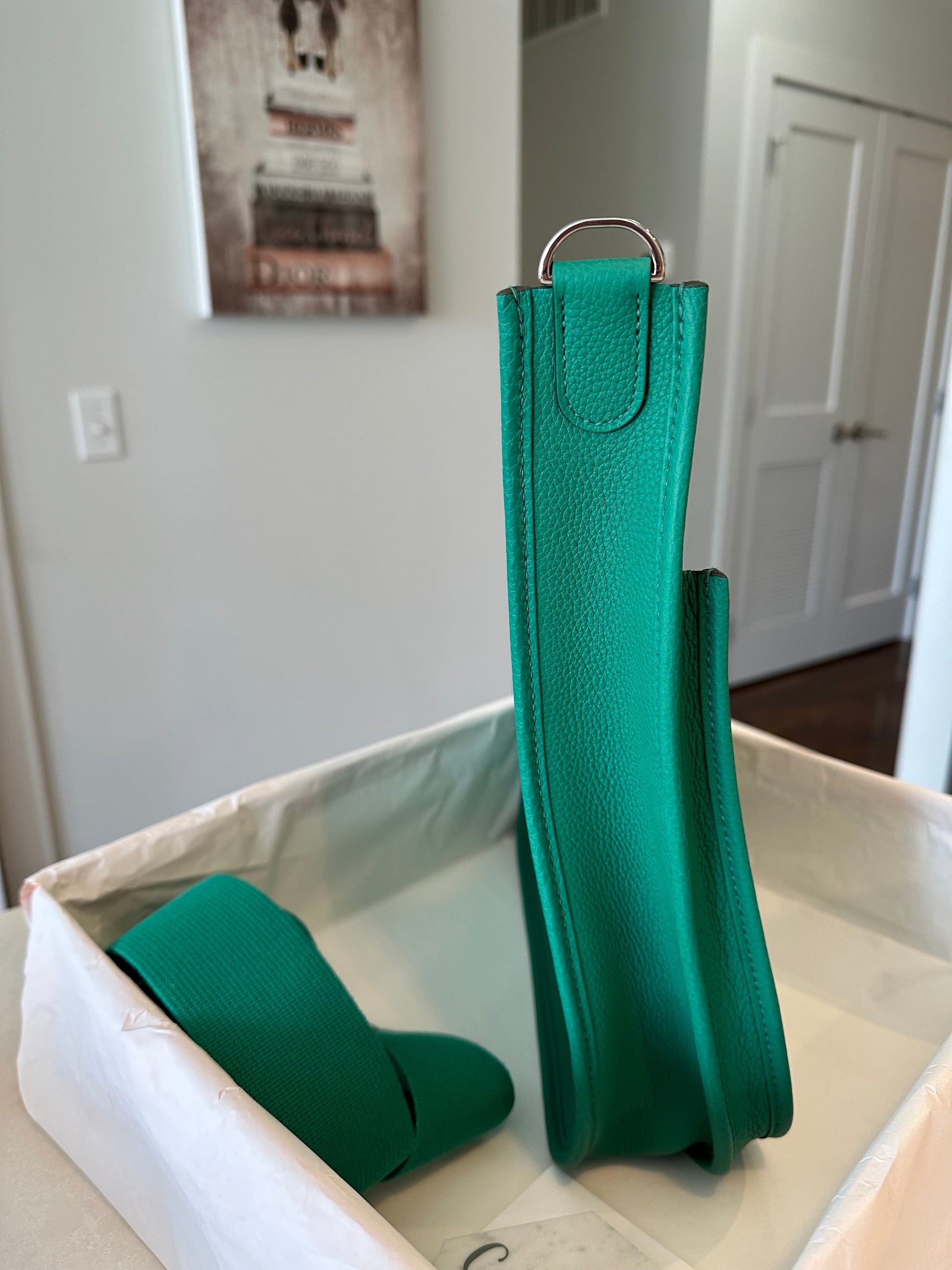 Hermes Evelyne PM 29 Vert Jade PHW - Carly Julia Sells Stuff, LLC