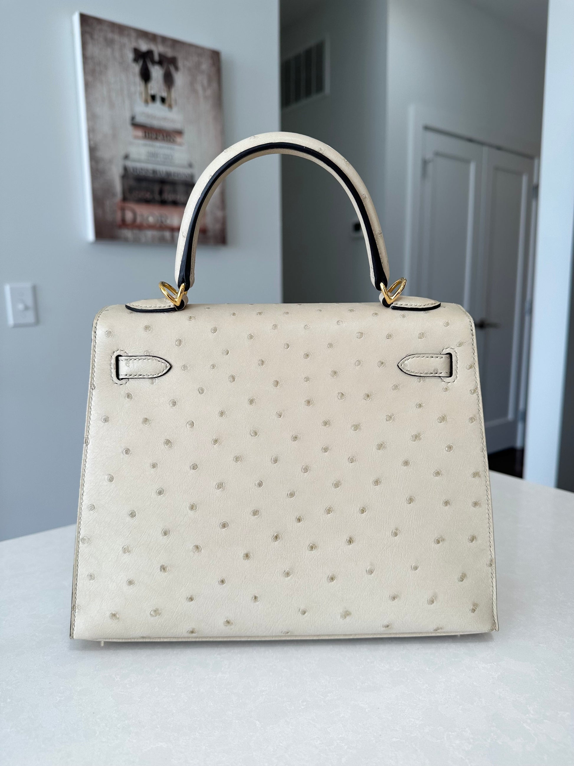 Hermes Kelly 25 Ostrich Sellier Parchemin GHW - Carly Julia Sells Stuff, LLC