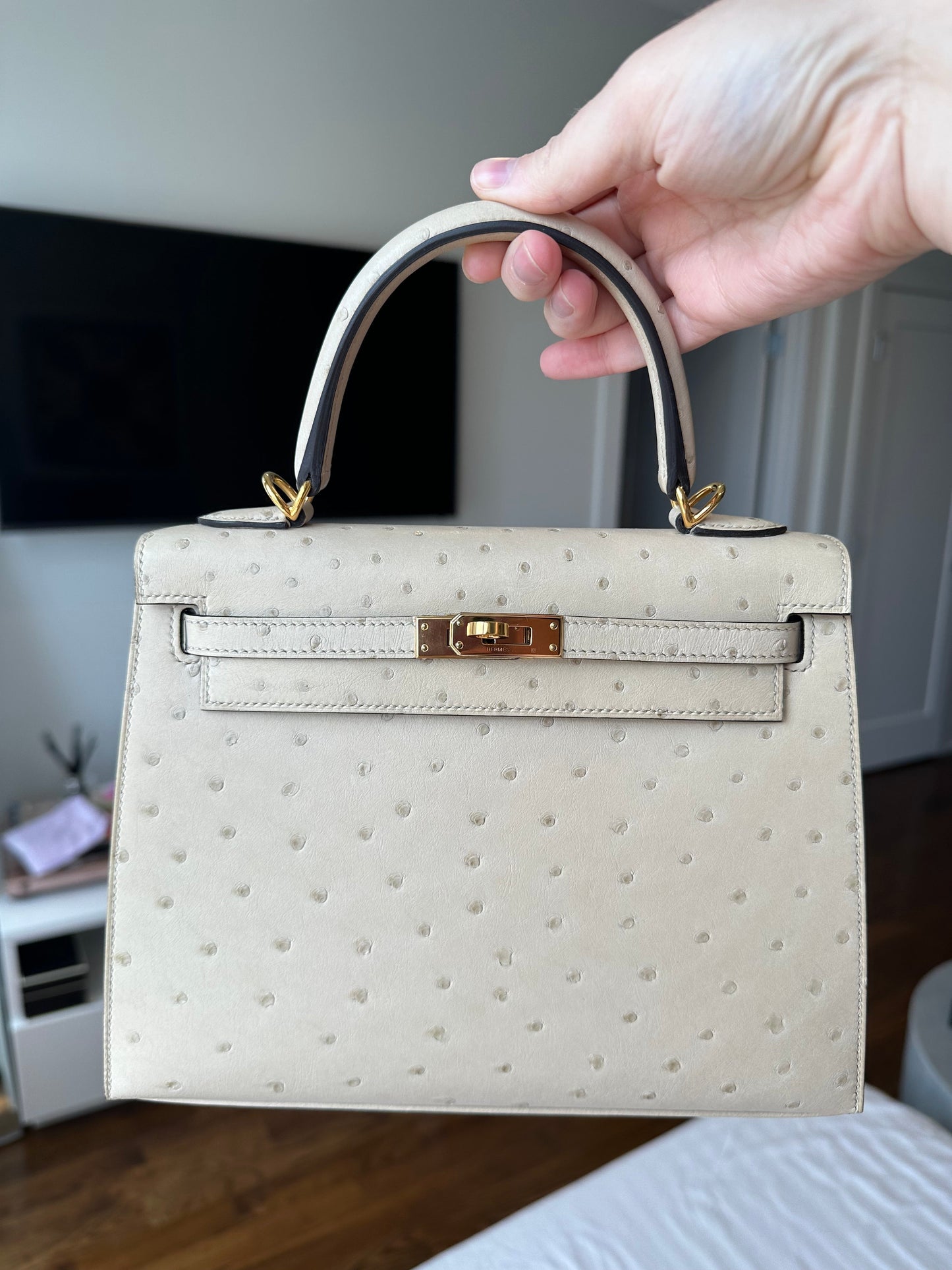 Hermes Kelly 25 Ostrich Sellier Parchemin GHW - Carly Julia Sells Stuff, LLC