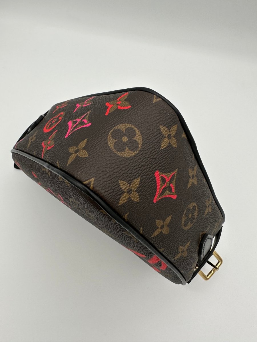 Louis Vuitton Limited Edition ‘Fall In Love’ Sac Coeur Heart Bag - Carly Julia Sells Stuff, LLC