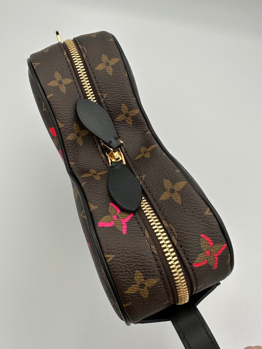 Louis Vuitton Limited Edition ‘Fall In Love’ Sac Coeur Heart Bag - Carly Julia Sells Stuff, LLC