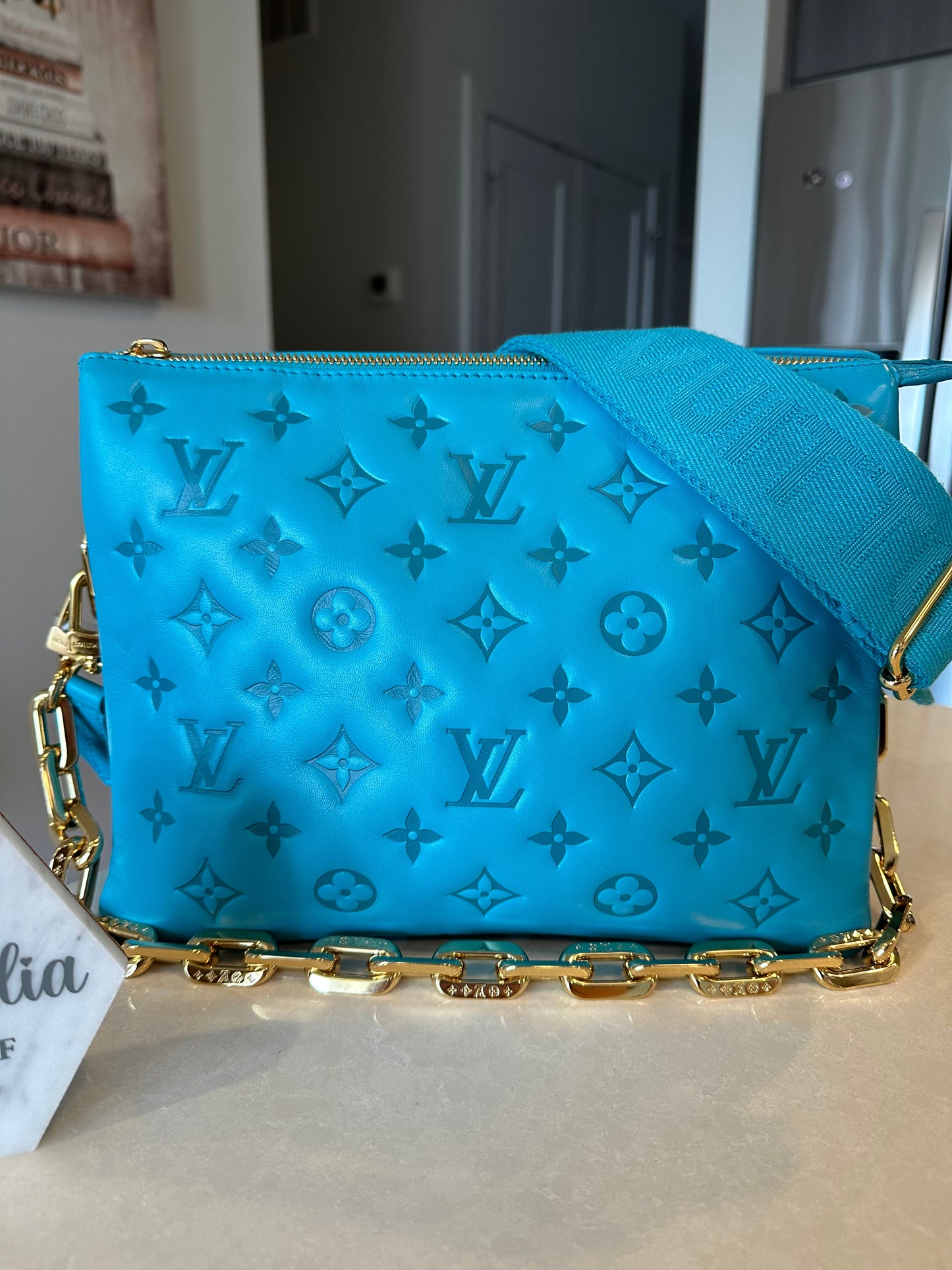 Louis Vuitton Monogram Coussin PM Turquoise - Carly Julia Sells Stuff, LLC