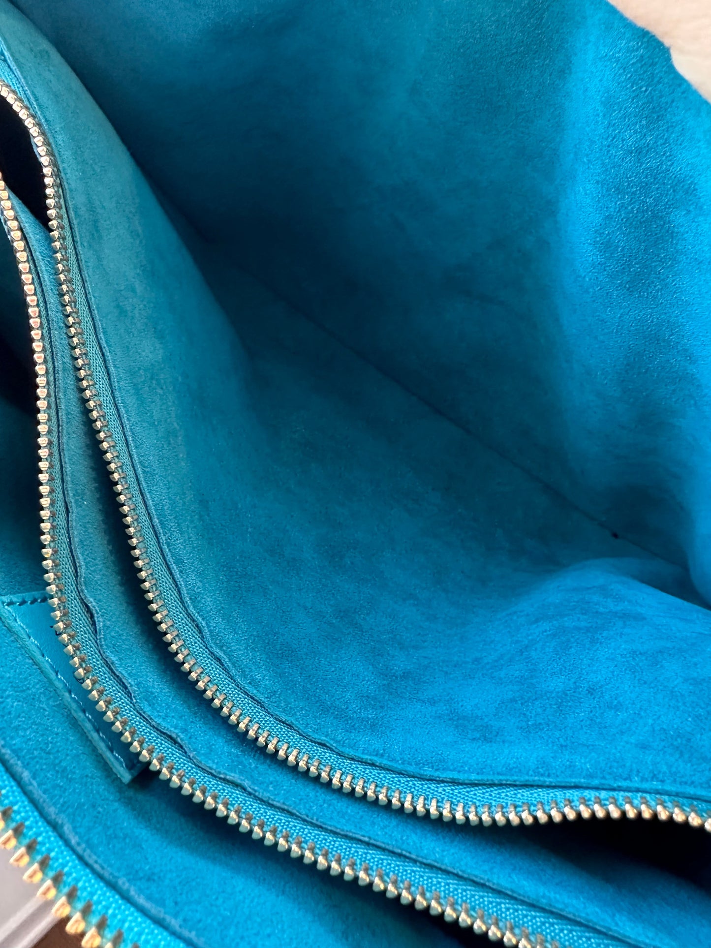 Louis Vuitton Monogram Coussin PM Turquoise - Carly Julia Sells Stuff, LLC