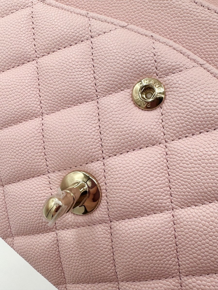 Chanel 22S Rose Claire Light Pink Medium Double Flap – Carly Julia Sells  Stuff, LLC