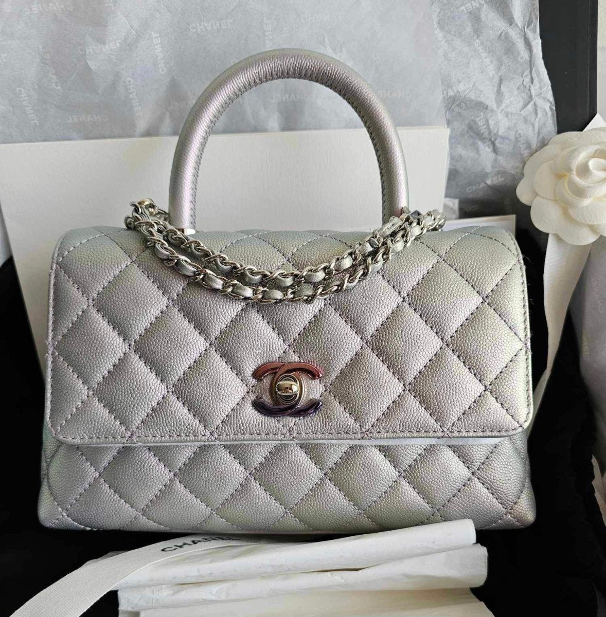 CHANEL Iridescent Mini Coco Handle - Carly Julia Sells Stuff, LLC