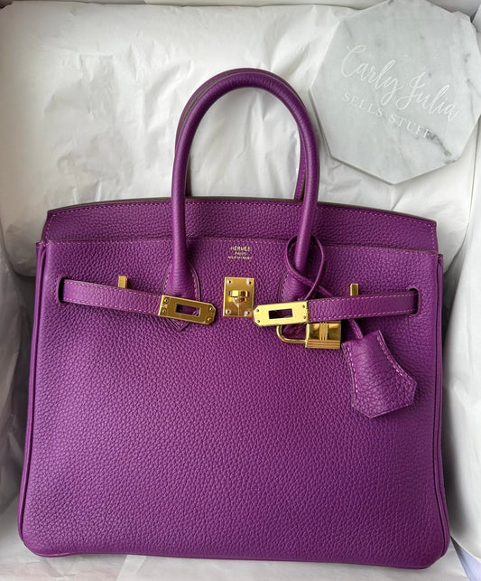 Hermes Birkin 25 Anemone Togo GHW - Carly Julia Sells Stuff, LLC