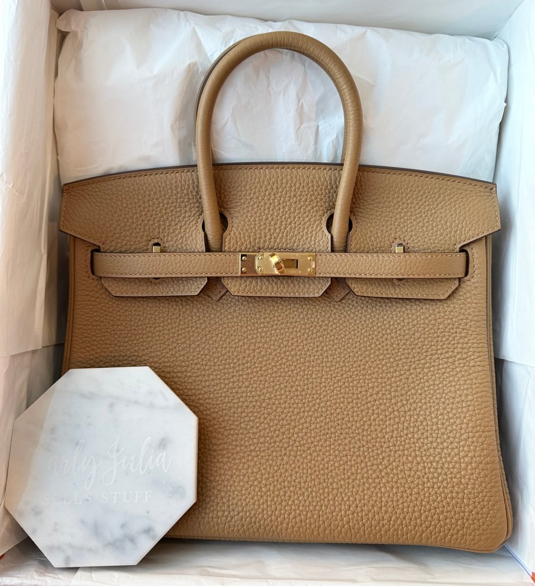 Hermes Birkin 25 Biscuit GHW - Carly Julia Sells Stuff, LLC