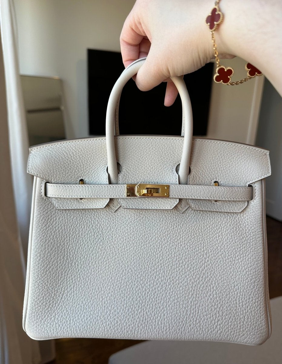 Hermes Birkin 25 Togo Craie GHW - Carly Julia Sells Stuff, LLC