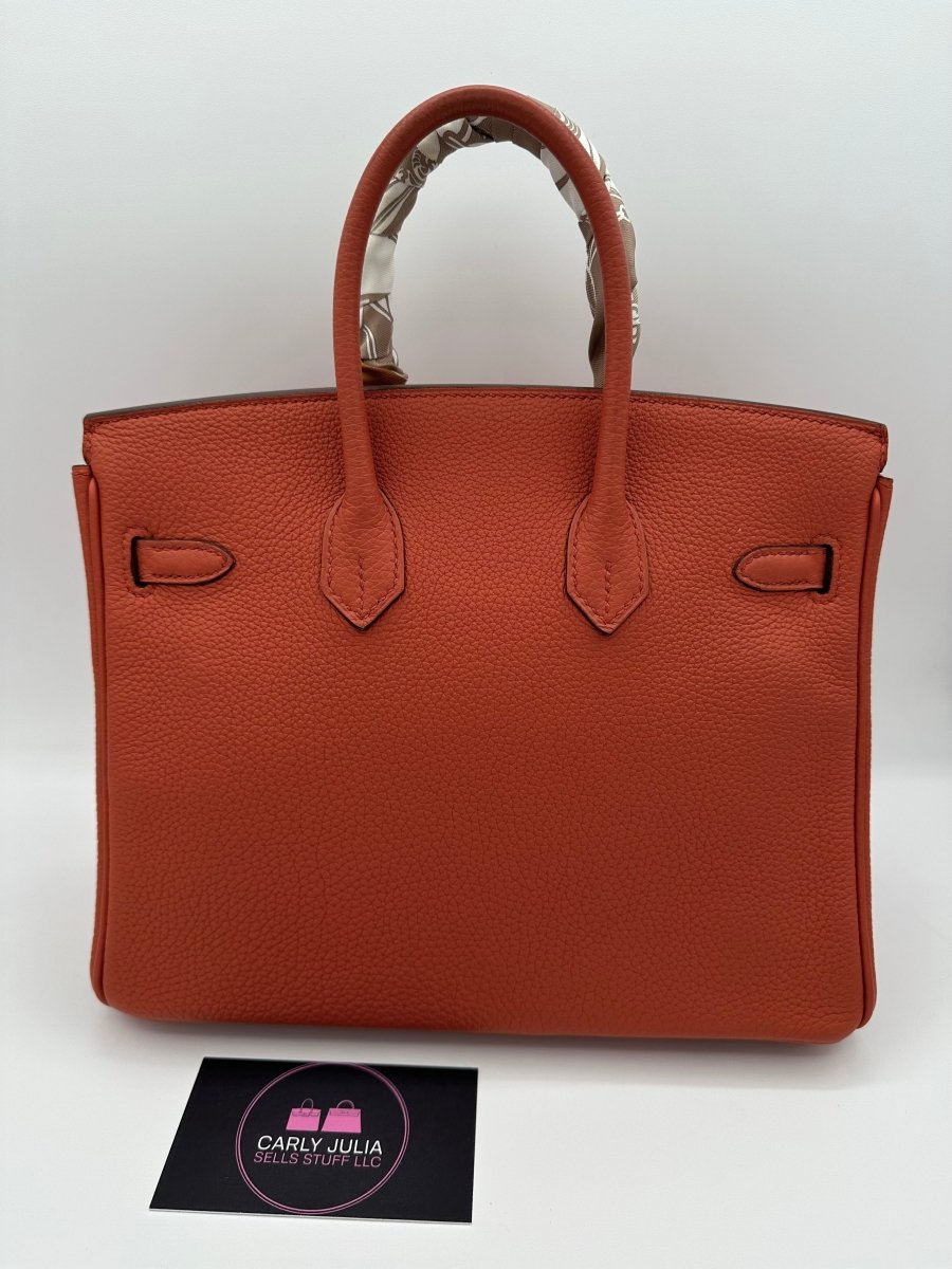 Hermes Birkin 25 Togo GHW Cuivre - Carly Julia Sells Stuff, LLC