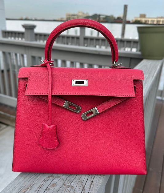 Hermes Kelly 25 Chèvre PHW - Carly Julia Sells Stuff, LLC